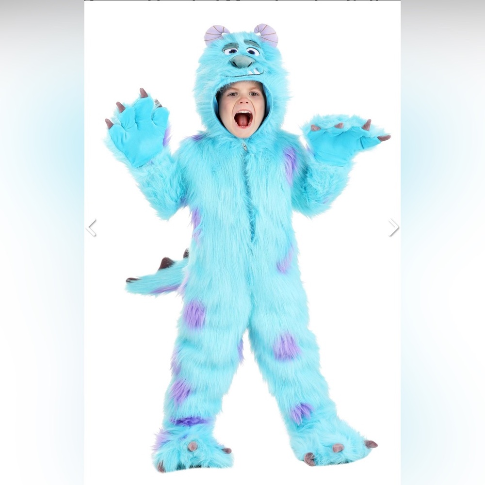 Hooded Monsters Inc Sulley Costume for Toddlers, XSmall (2T)